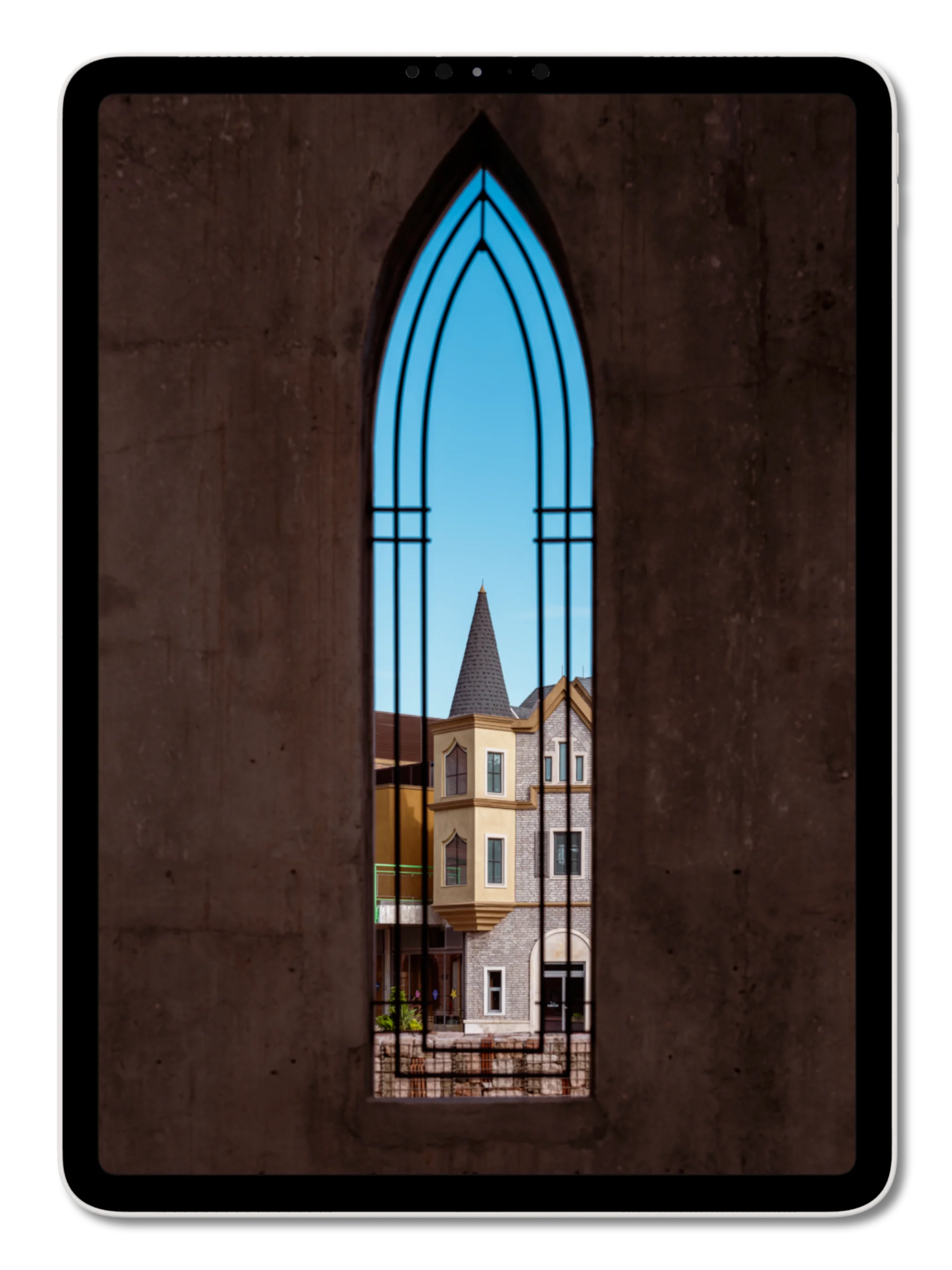 ordoo iPad full-screen viewing